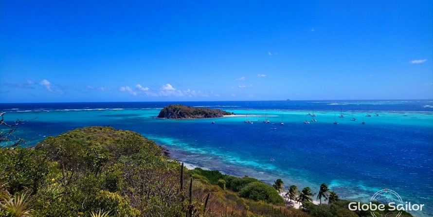 Alliaura Marine Feeling 446