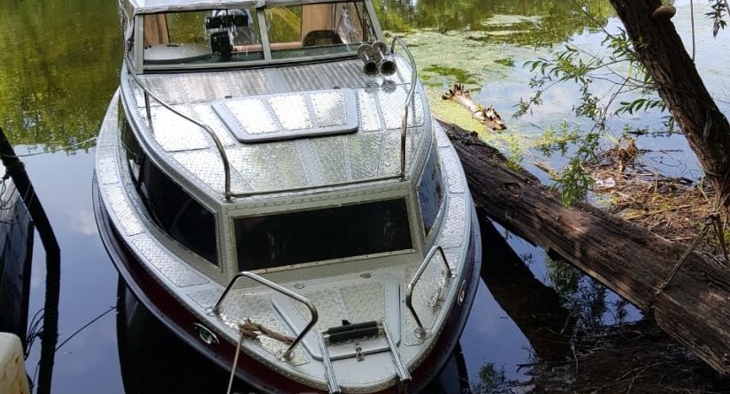 Николь Ирбис