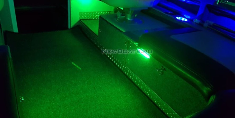 Николь Ирбис