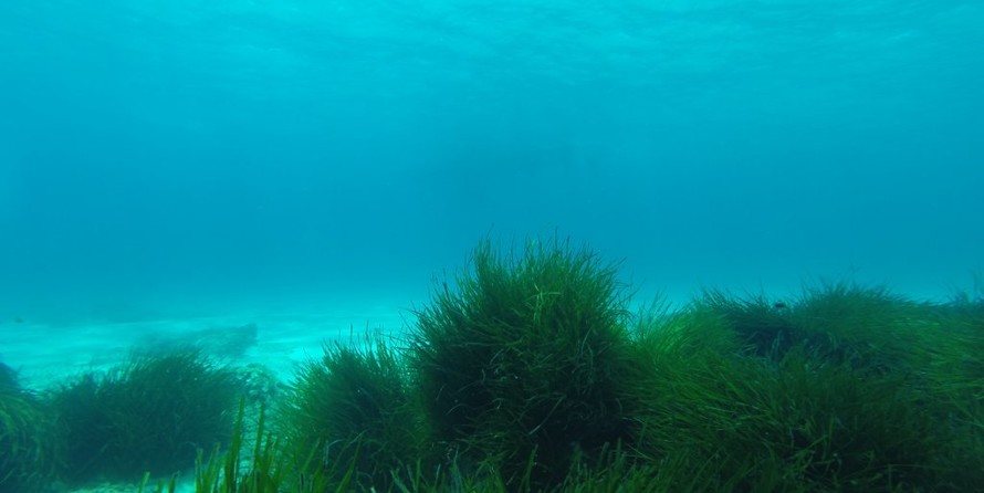 Jeanneau Sun Odyssey 439