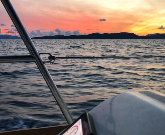 Jeanneau Sun Odyssey 479