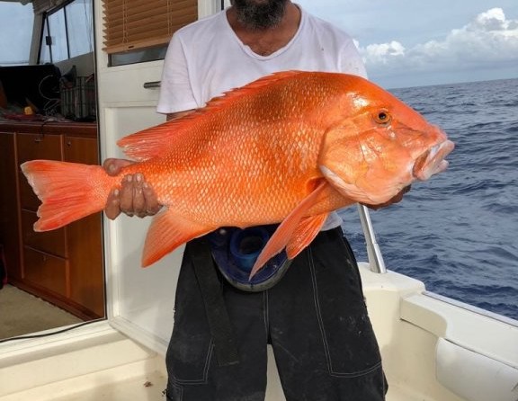 Rodman 1250 Fisher Pro