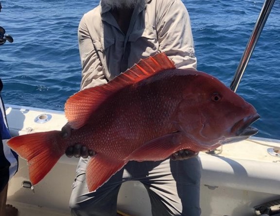 Rodman 1250 Fisher Pro