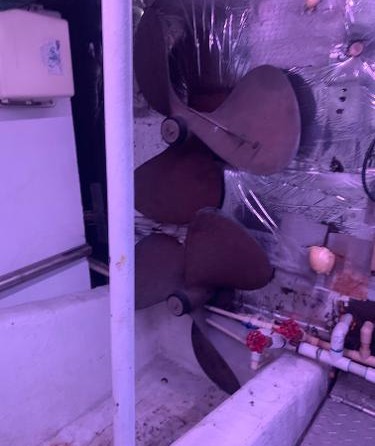 Ocean yachts 48 super sport