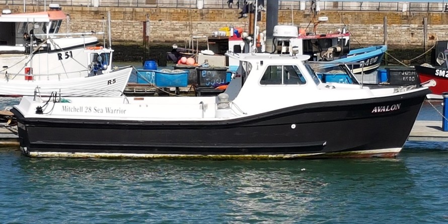 Mitchell sea warrior 27