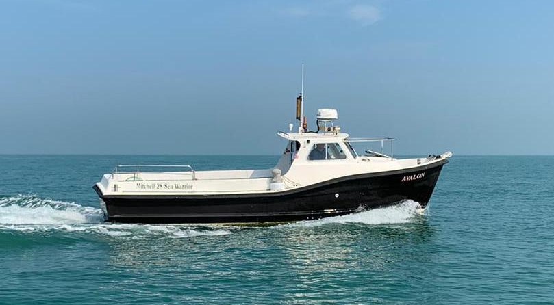 Mitchell sea warrior 27