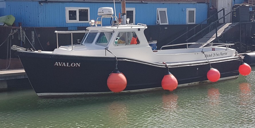 Mitchell sea warrior 27