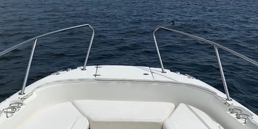 Boston Whaler 270 Dauntless