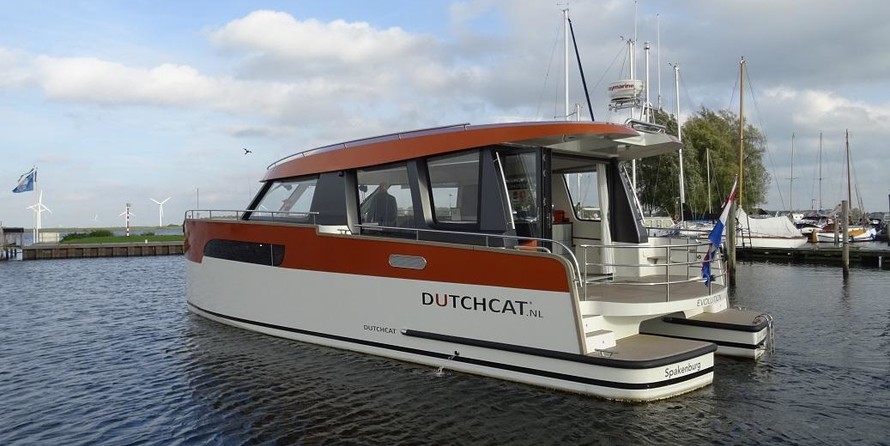 DutchCat Twelve