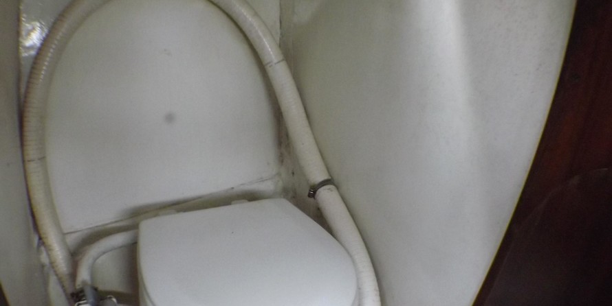 Custom Halcyon 27 (available)