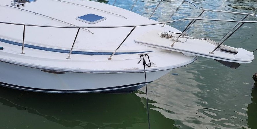 Trojan 10 meter international