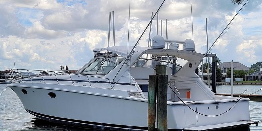 Trojan 10 meter international