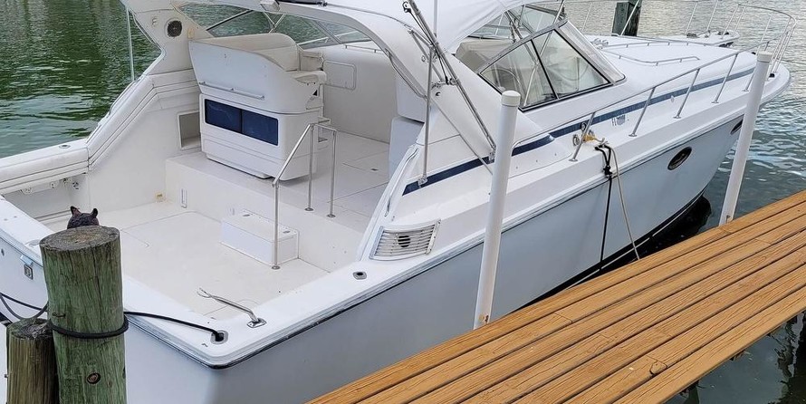 Trojan 10 meter international