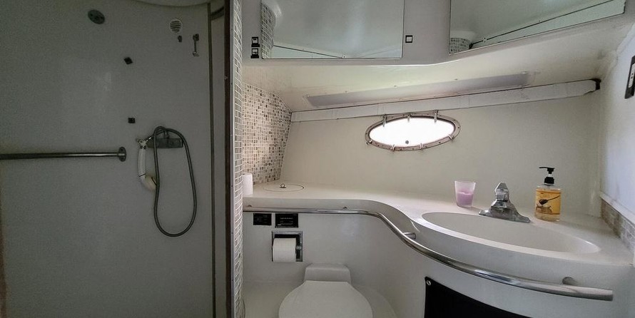 Trojan 10 meter international