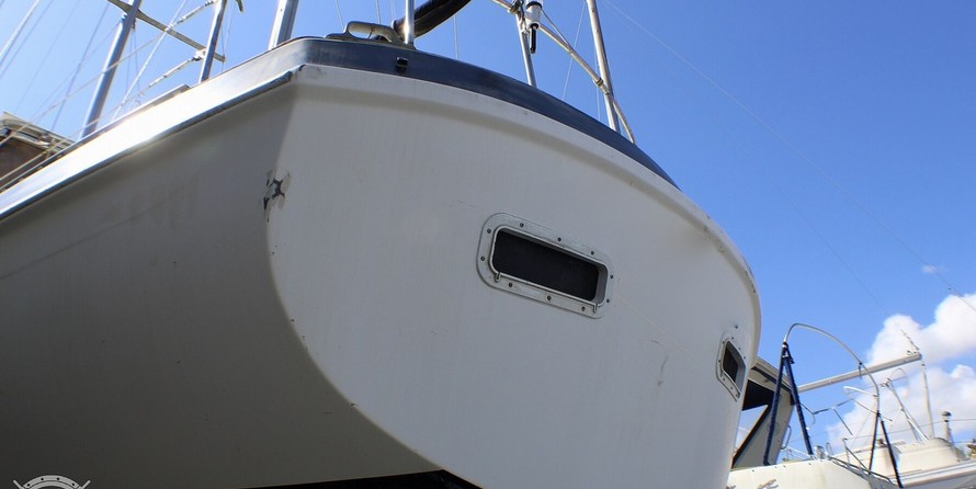 Morgan out island 41