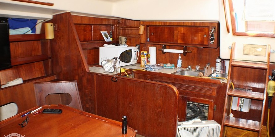 Morgan out island 41