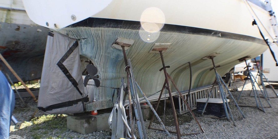 Morgan out island 41