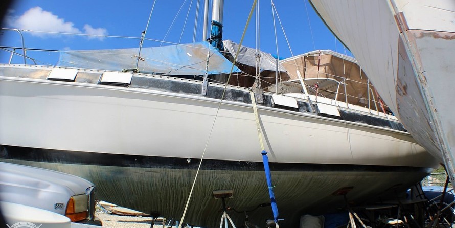 Morgan out island 41