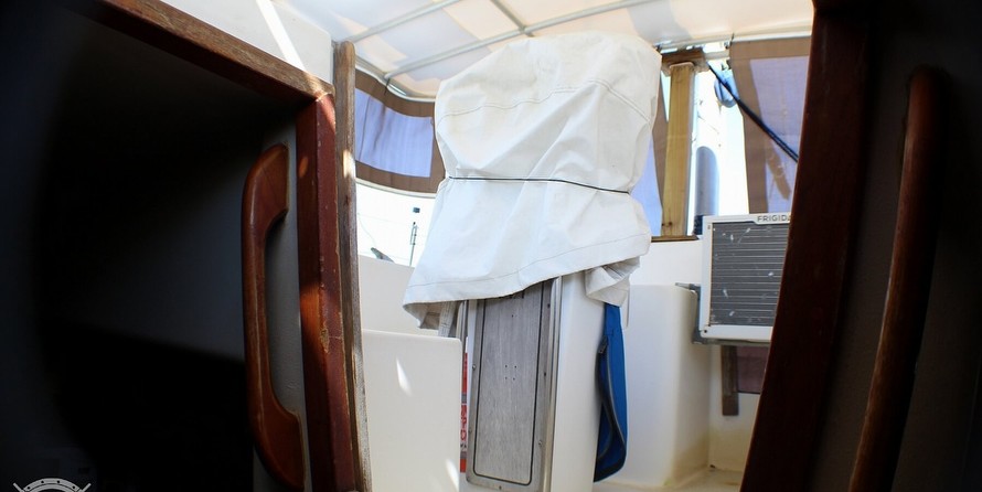 Morgan out island 41