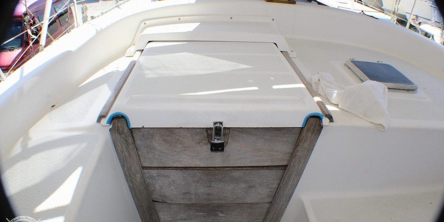 Morgan out island 41