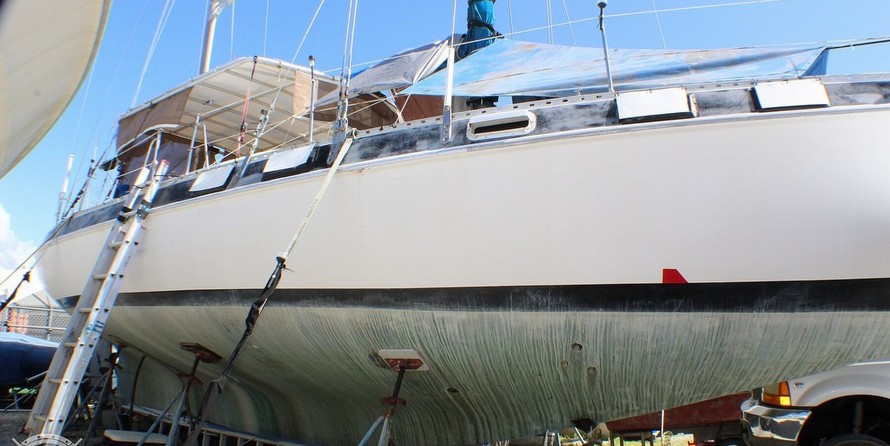 Morgan out island 41