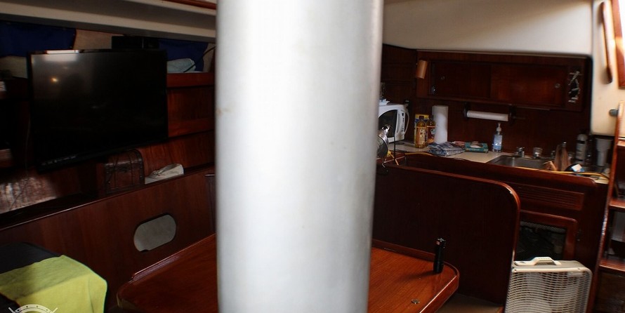 Morgan out island 41