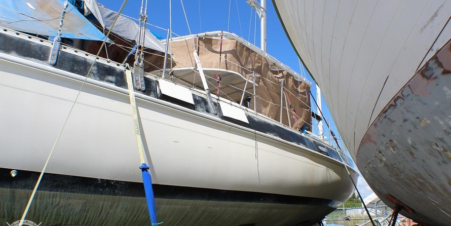 Morgan out island 41