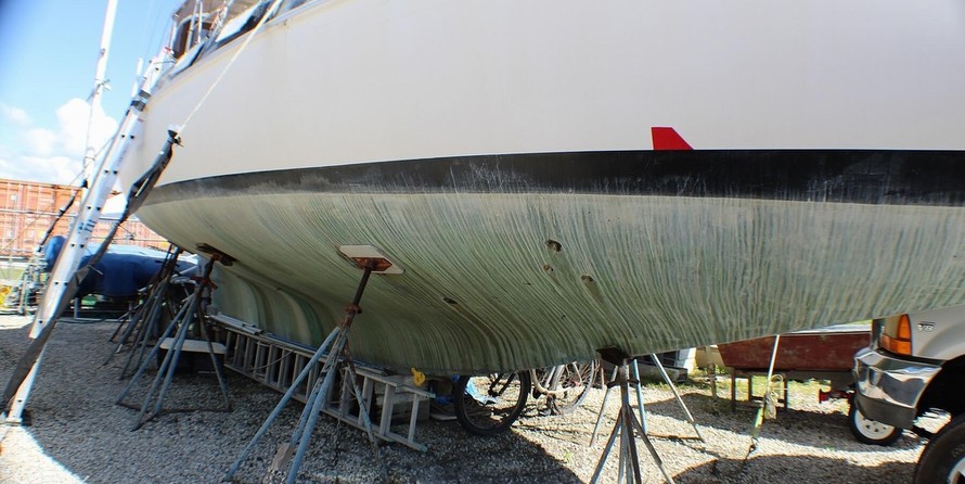 Morgan out island 41