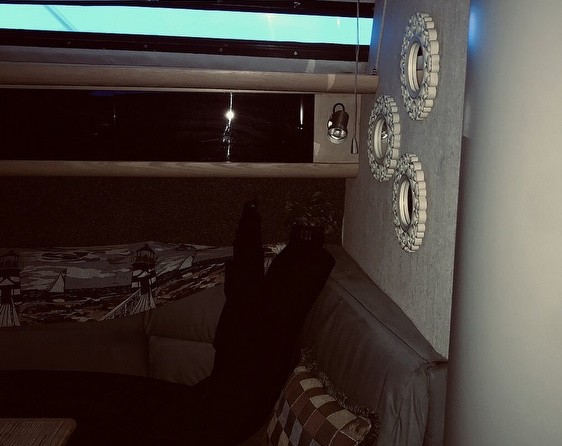 Silverton 40X Express