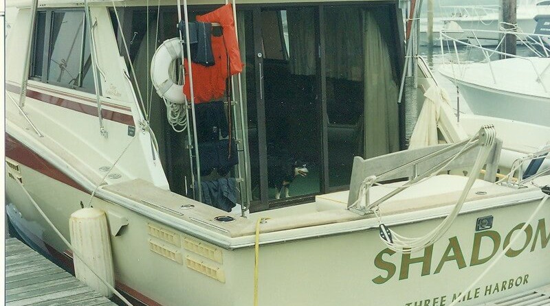 Trojan 36 Flybridge Convertible