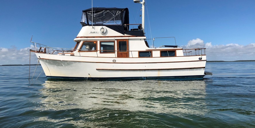 Marine Trader Trawler Convertible