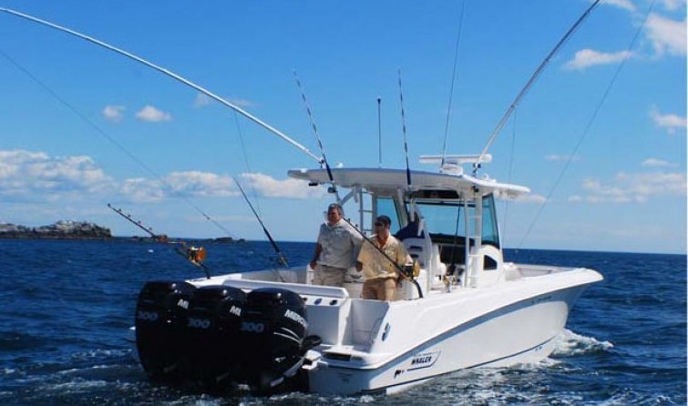 Boston Whaler 380 Outrage