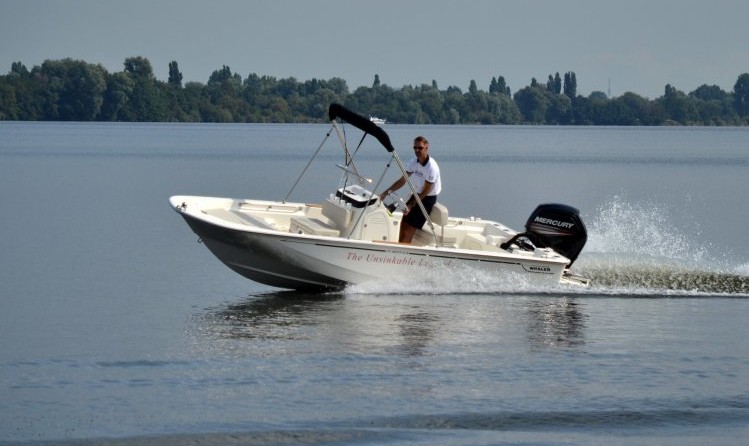 Boston Whaler 170 Montauk