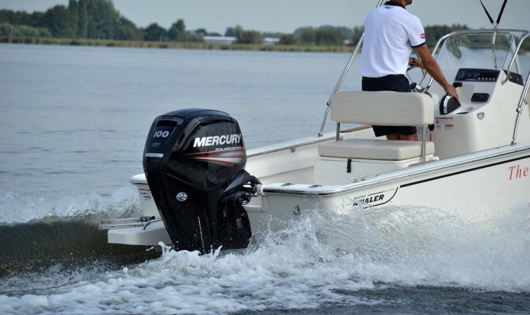 Boston Whaler 170 Montauk
