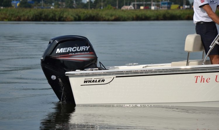 Boston Whaler 170 Montauk