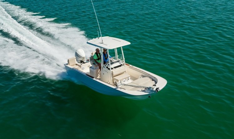 Boston Whaler 210 Montauk