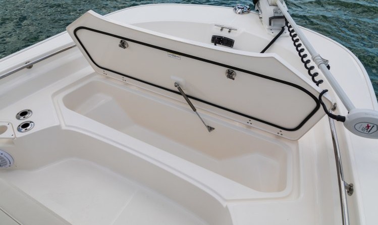 Boston Whaler 210 Montauk