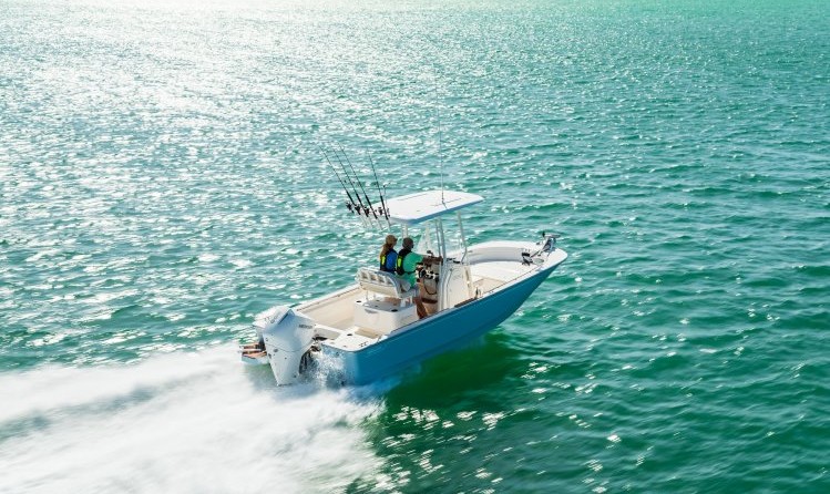 Boston Whaler 210 Montauk