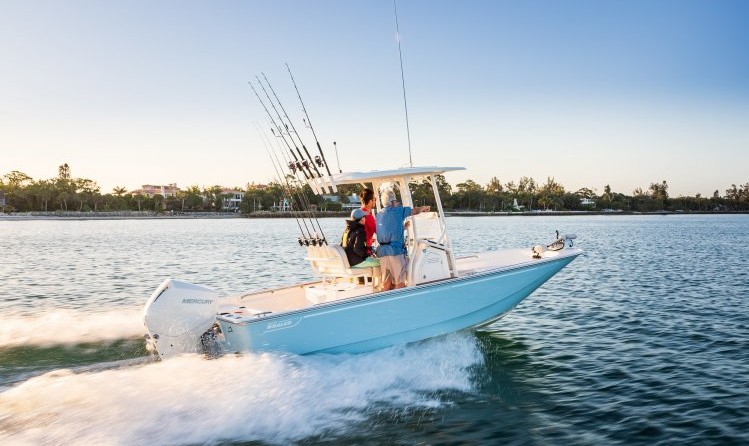 Boston Whaler 210 Montauk