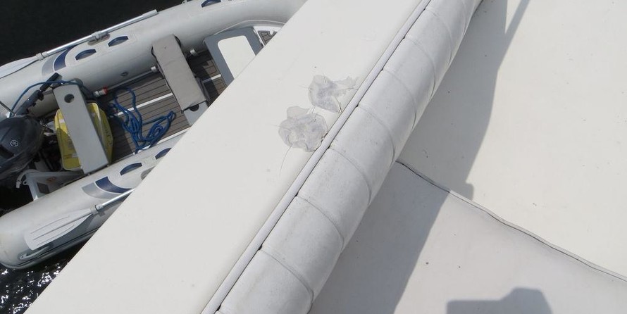 Bertram 60 Convertible