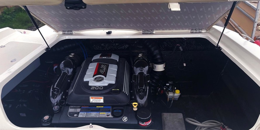 Stingray 208 LS