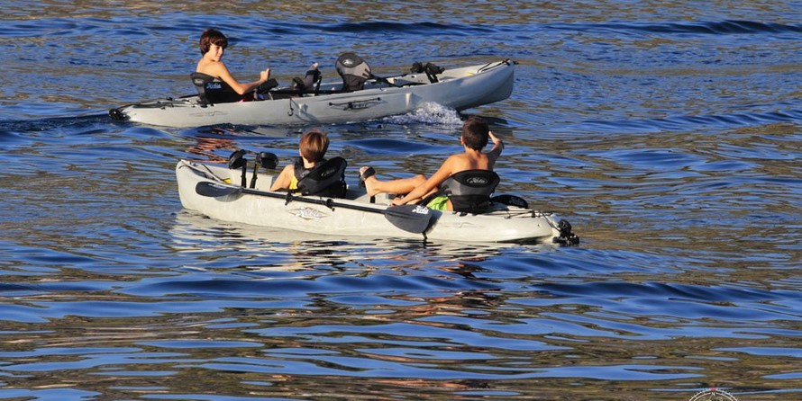 Westport Endless Summer