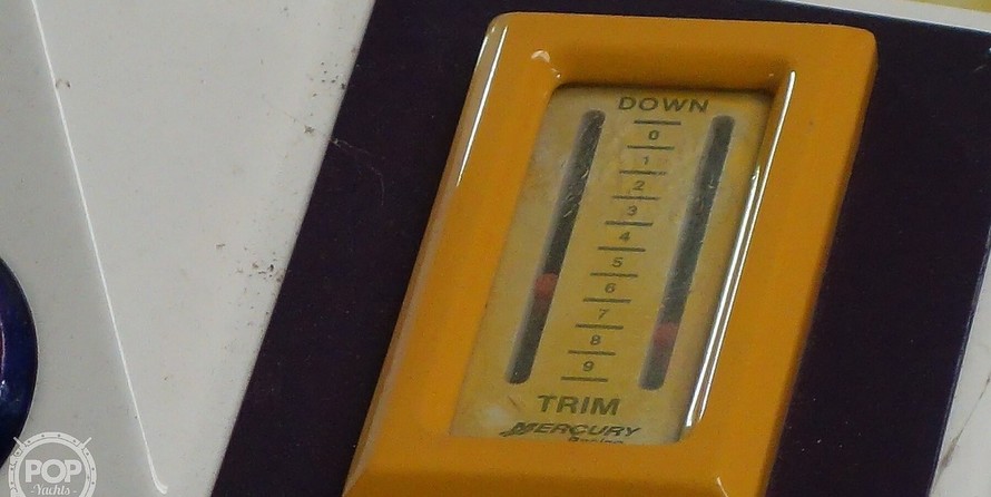 Ocean Express 38' Starship