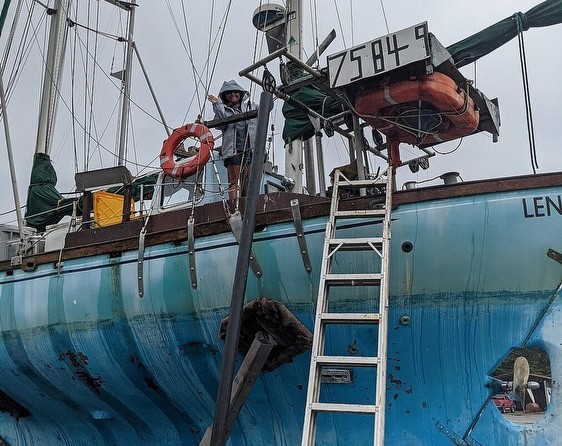 Blue Water Boats 38 Ingrid