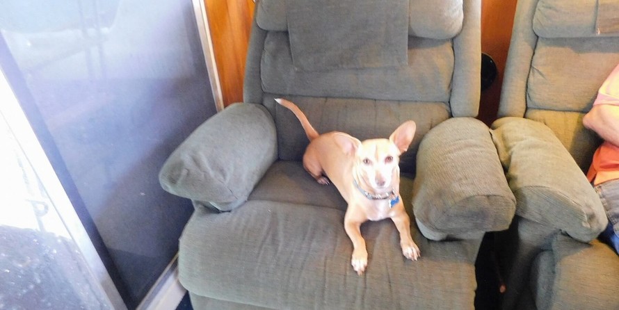 Silverton 37 Convertible