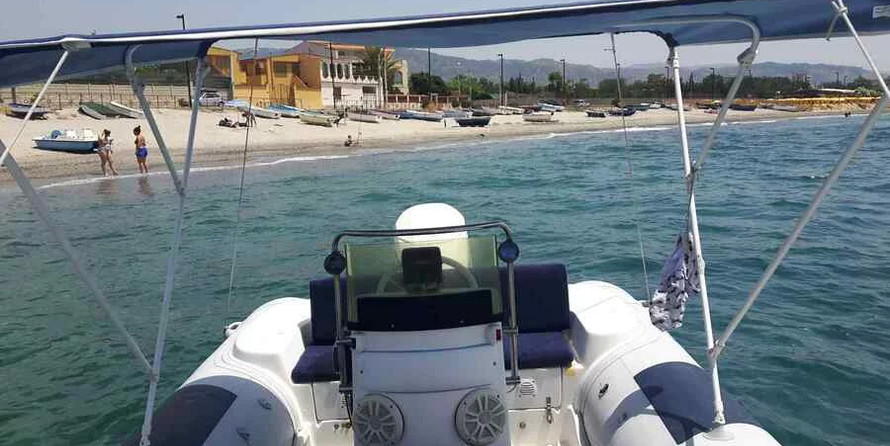 Predator 590
