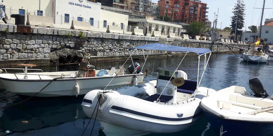 Predator 590