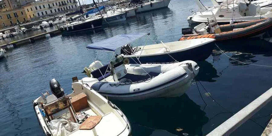 Predator 590