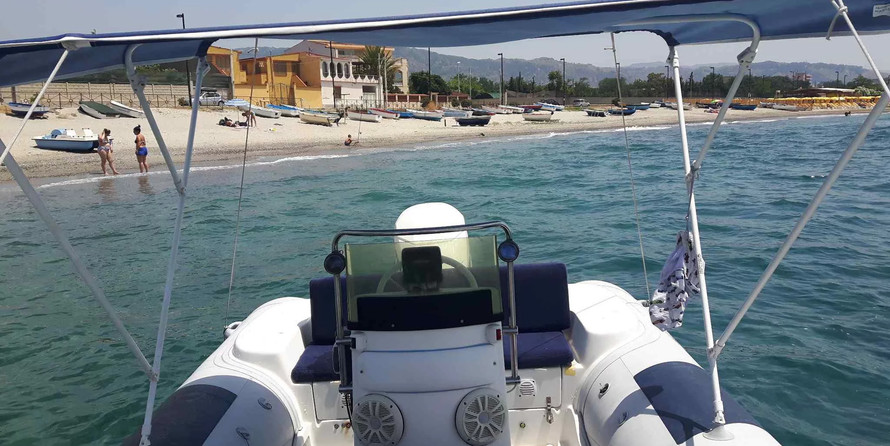 Predator 590