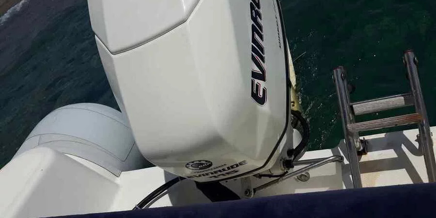 Predator 590